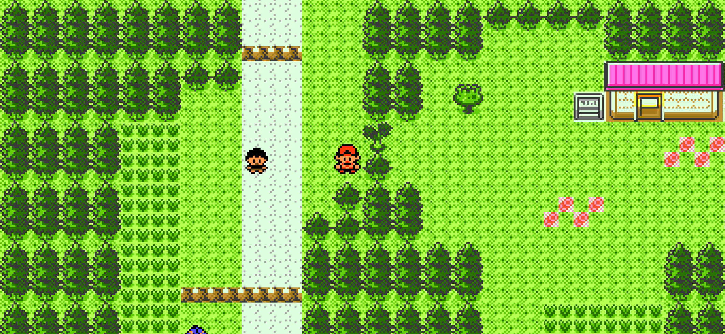 pokerecomp iPhone screenshot 2